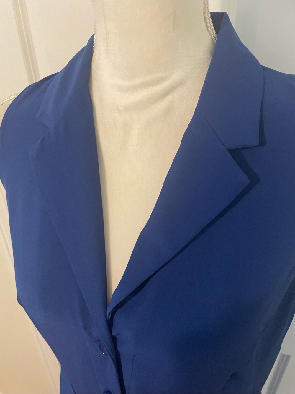 Sleeveless Blue Button-Front Maxi Dress with Waist Tie - Picture 2 of 10